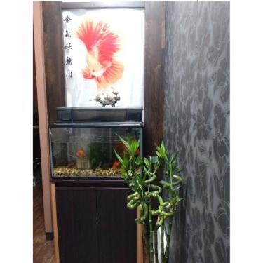 リラクゼーション舞