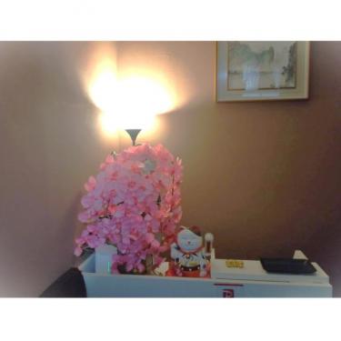 リラクゼーション舞