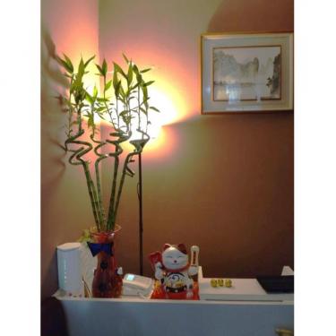 リラクゼーション舞