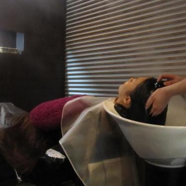 フォトギャラリー 横浜市戸塚区 Bless Hair Spa With Dog ブレスヘア スパウィズドッグ 東戸塚 の紹介 横浜リラクnavi